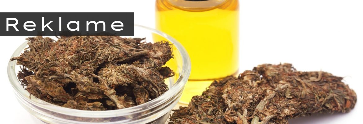 CBD olie